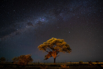 Milky Way in Etosha National Park, Namibia