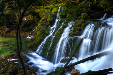 Fototapeta na wymiar Emerald Green Water Spring Source of Alpine River Bohinjska Bistrica in Bohinj Valley Slovenia