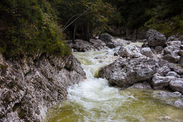 River Rio Bianco in Italian Julian Alps
