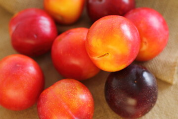 Raw red plums on burlap