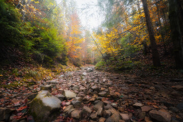 Beautiful landscape of the autumn forest in the mountains. Stony path in foggy forest leading to the top of the mountain.