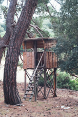 Small wooden tree house for bird watching on Croatian island Brijuni
