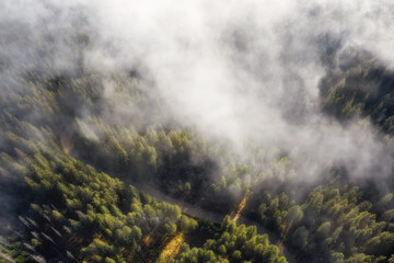 Aerial view of mountain forest in low clouds at sunrise. Beautiful landscape of foggy forest with countryside road. Top view.