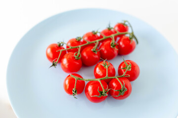 Two branches of red fresh ripe cherry cocktail tomatoes lie on a blue plate on a white background. High quality photo.