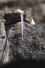 icicle on a rock with snow on the Rocky Mountains