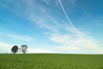 Magnificent view of Biei district, Hokkaido