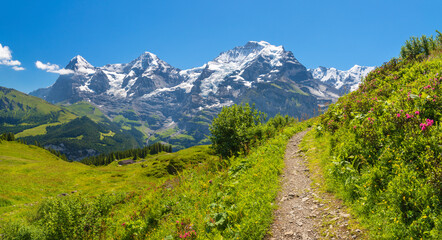 Fototapeta na wymiar The Bernese alps with the Jungfrau, Monch and Eiger peaks.