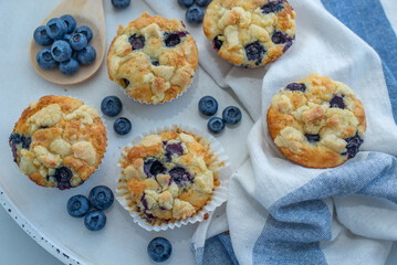 sweet home made blueberry muffins with streusel