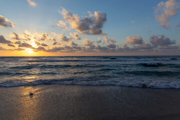 Sunset on the Mediterranean coast. Natural landscape. Mediterranean nature. Blue sky and yellow sunlight. Israel.