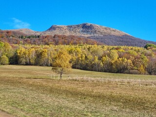 Autumn landscape in the Bieszczady mountains in Poland  © Aleksandra