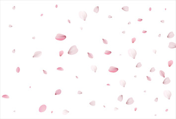 Cherry petals backdrop. Sakura petals background.