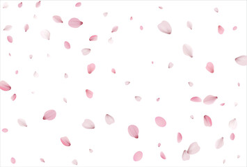 Sakura petals background. Cherry petals backdrop