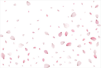 Fototapeta na wymiar Sakura petals background. Cherry petals backdrop