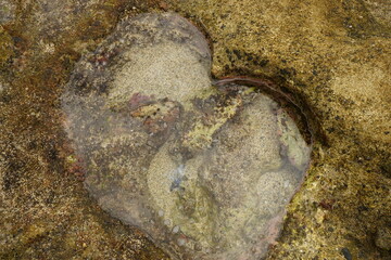 Heart Rock in Amami Oshima Island located on the Pacific Ocean side of Amami, Kagoshima, Japan - 日本 鹿児島 奄美大島 ハートロック
