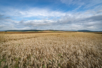 Getreideanbau in Deutschland