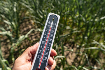 Klimawandel: Dürre in der Landwirtschaft.