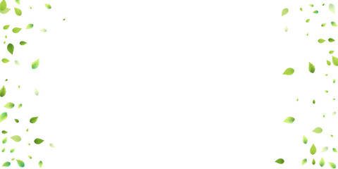 Leaves Green Falling Flying Foliage Leaf Tea Mint