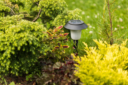 Lantern for a solar-powered garden among plants