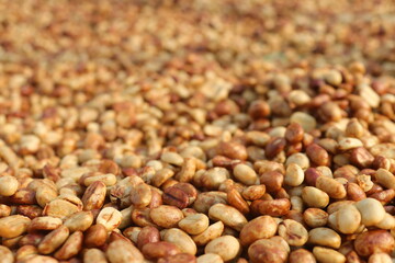 coffee dry