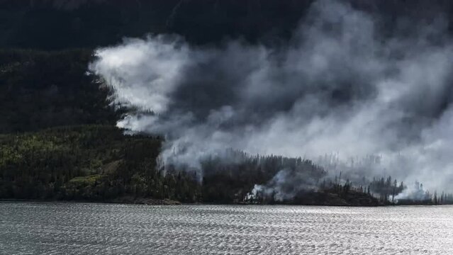 Timelapse Of A Burning Forest In The Mountains,Changing Of The Climate,Changing Of The Climate,deforestation,lakes Dry Up,humanity Cuts Down The Forest,global Natural Disaster	
