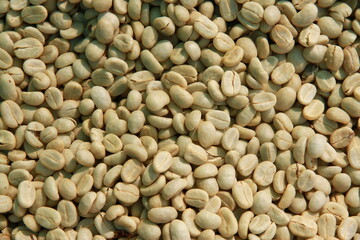 coffee parchment