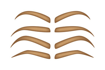 Set of Eyebrow shapes on white background