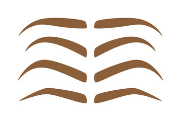 Set of Eyebrow shapes on white background