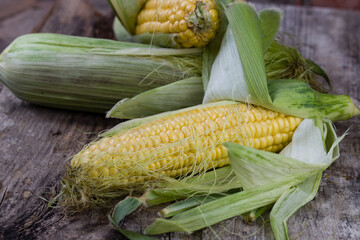 ears of corn on the table