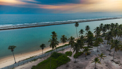 Praia Litoral Pernambuco Muro Alto Porto de Galinhas Ipojuca Arrecife Piscina Natural Verão...