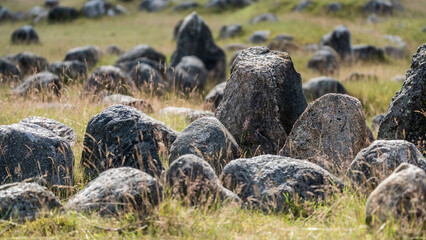 Lindholm Hoje a major Viking burial site and former settlement situated to the north of and overlooking the city of Aalborg in Denmark.