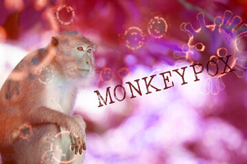 Monkeypox 2022 virus - disease transmitted by monkey, ape