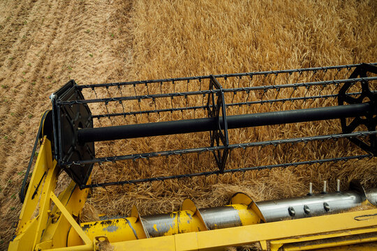 Combine harvester collecting wheat in field
