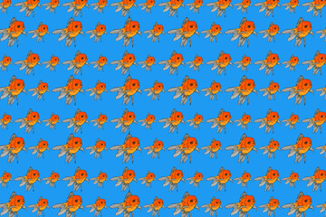 pattern design with goldfish illustration theme