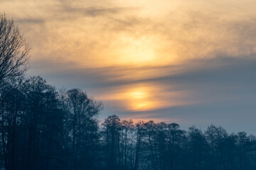 Fototapeta na wymiar beautiful sunrise in the forest