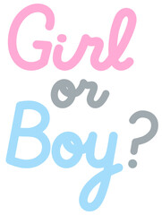 Boy or Girl gender reveal. Colorful greeting card for party, banner or print. Simple isolated vector calligraphic illustration.
