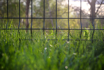 Green steel wire fence with rods. Protecting private property. Selective focus