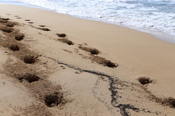 Fototapeta na wymiar Footprints in the sand on the city beach.