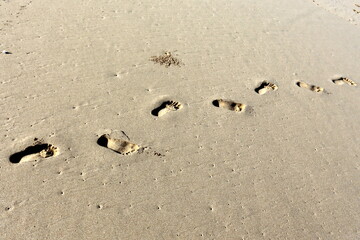 Footprints in the sand on the city beach.