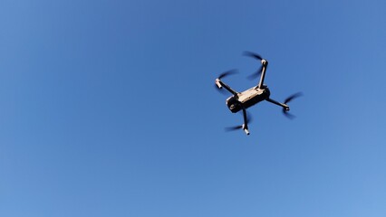 canadian geese in flight