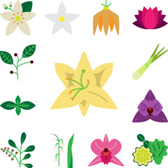 Herb, lily icon in a collection with other items