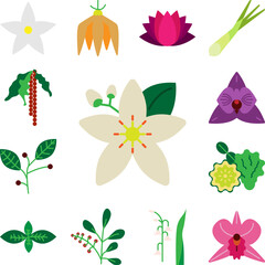 Herb, neroli icon in a collection with other items