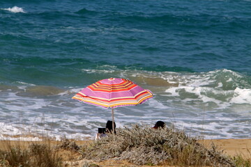 Umbrella for shelter from the sun on the city beach.