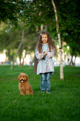 A cute little girl on a walk with toy poodle dog. It's spring outside. The girl is dressed in a blue cloak in a flower and jeans. She has long wavy hair. Childhood. Stroll.