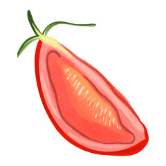 Vector Watercolor tomato illustration. Ripe red vegetable.