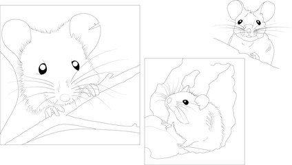 Lovely mice. Coloring book for children. Circuit