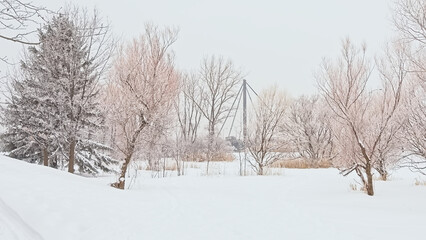 Fototapeta na wymiar Ile de la visitation nature park in the snow. Montreal