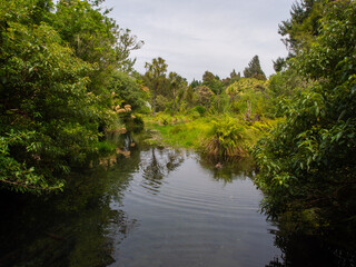 Fototapeta premium Pond In The Bush