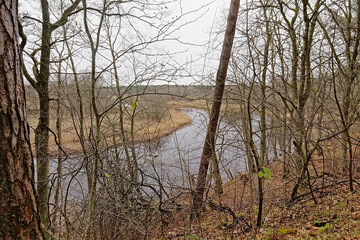 Pirita river, with reed and forest on the Shores. Tallinn, Estonia