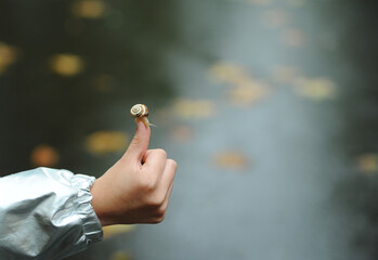 Little snail on the kid's hand