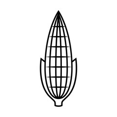 Corn icon on white background. Corn logo design.